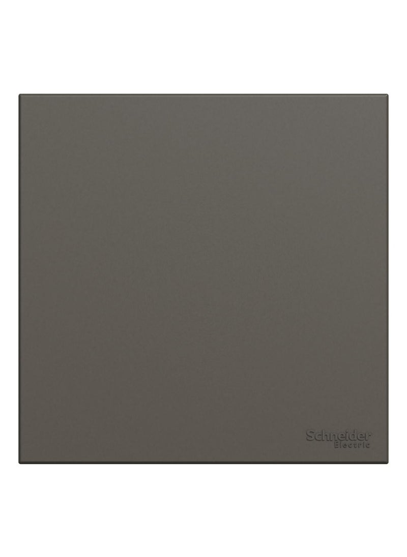 Schneider Electric Avataron C Blank Plate E8730X_DG, 1 Gang, Dark Grey - pzsku/Z5D15C1E929E8C09C65BFZ/45/_/1680690105/7fde6108-c5a3-48c2-8fa8-8d54c508329d