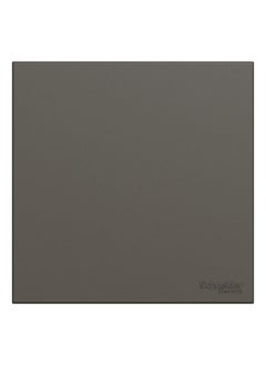 Schneider Electric Schneider Electric Avataron C Blank Plate E8730X_DG, 1 Gang, Dark Grey  - Image 1