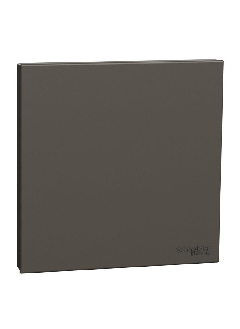 Schneider Electric Avataron C Blank Plate E8730X_DG, 1 Gang, Dark Grey - pzsku/Z5D15C1E929E8C09C65BFZ/45/_/1680690107/76d7d3d4-8501-463d-9dcc-aadb16f01819