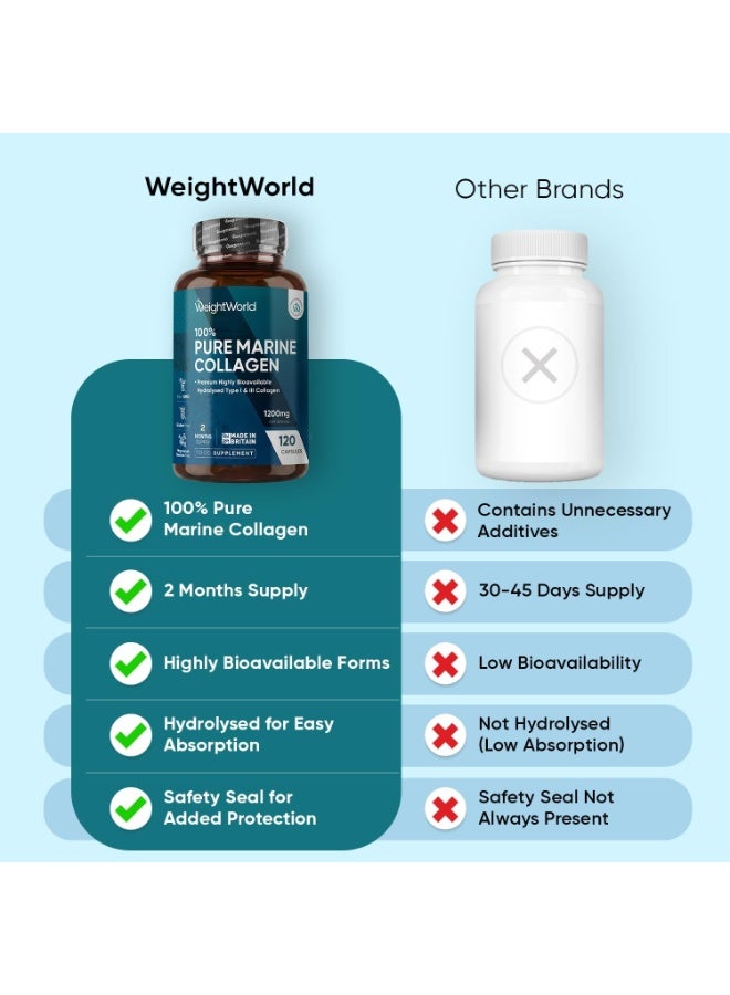 WeightWorld مكملات الكولاجين البحري النقي للنساء والرجال - 120 كبسولة - 1200 ملغ لكل حصة - إمداد لمدة شهرين - ببتيدات كولاجين السمك المهدرج من النوع 1 و 3 عالية التوافر البيولوجي - Image 4
