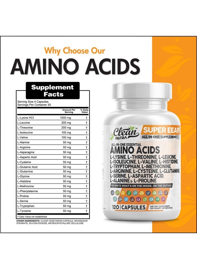 Clean Nutraceuticals Amino Acids Supplement L-Lysine, L-Threonine, L-Leucine, Isoleucine, Valine, L-Histidine, L-Tryptophan, L-Methionine, L-Arginine, L-Cysteine, L-Glutamine, L-Serine, Aspartic Acid, Alanine, L-Proline - Image 2