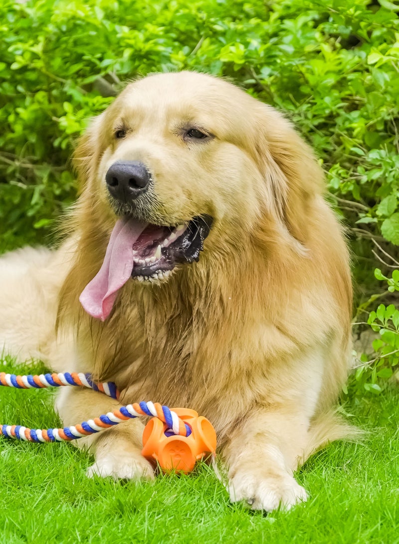 GULFLINK Non Toxic Natural Rubber Toy For Dogs Orange - Image 5