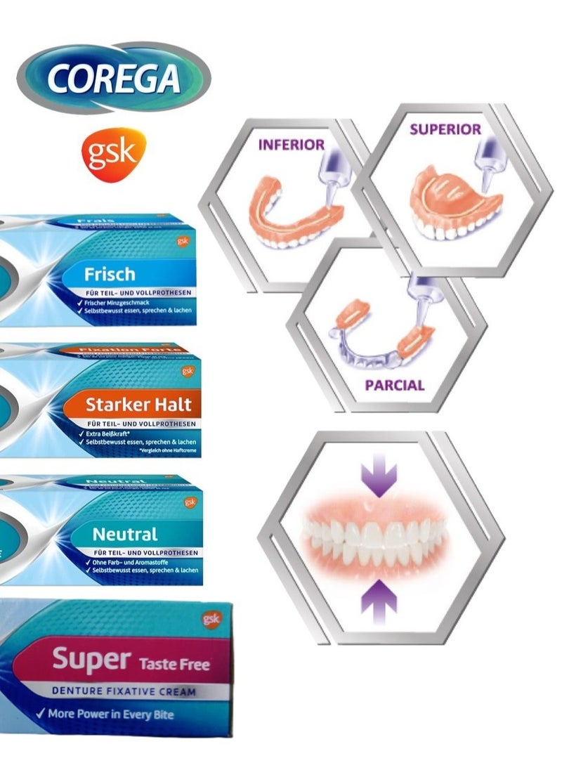 COREGA - Corega Strong Hold All Day Long Denture Adhesive Flavor-Free Cream 40 gm - Image 1