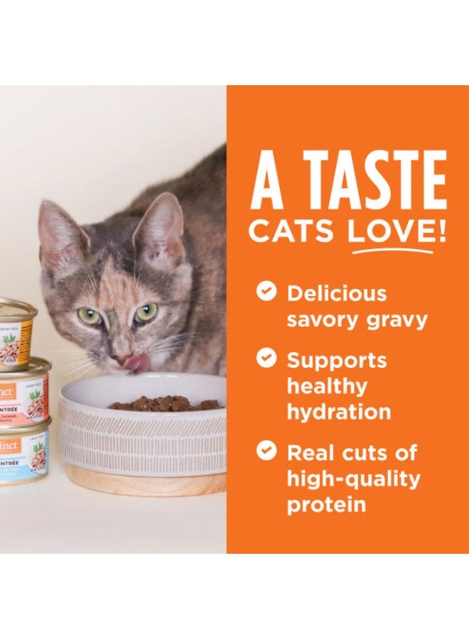 Instinct Flaked Salmon Entrée Wet Cat Food - 3OZ - Image 3