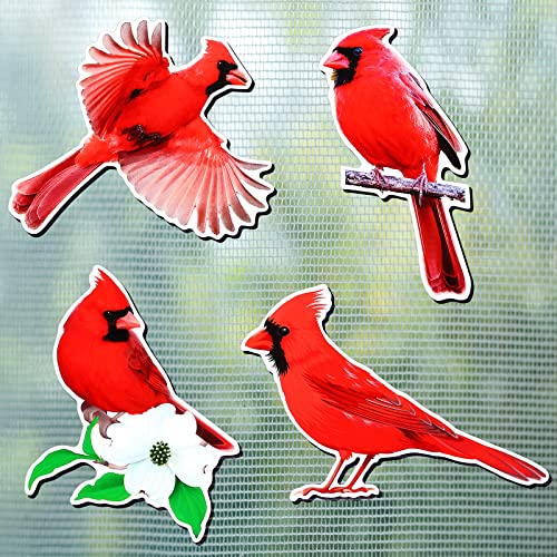 Photect 8 Pcs Cardinal Bird Screen Door Magnets Flexible Decorative Double Sided Screen Door Magnets Saver for Sliding Window Decor 4 StylesClassic