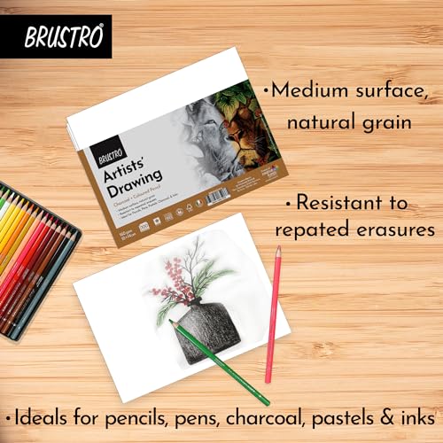 Brustro Artists Drawing Paper 160 GSM 10 X 14 CM Size, Pack of 100 Sheets. Ideal for Students,Adults, Coloring, Art, Craft, Natural Grain, Graphite, Charcoal, Pastels, Sketching, Shading, Drawing and Portrait - Image 2