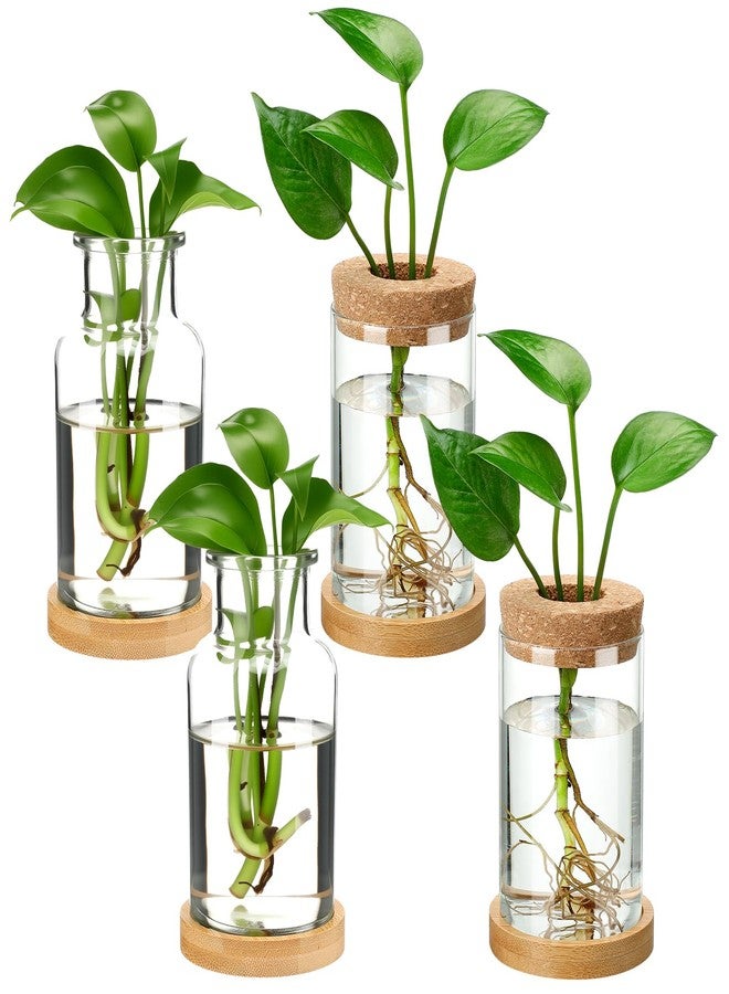Layhit مجموعة لايهيت المكونة من 4 قطع من محطات تكاثر النباتات، عبارة عن مزهريات زجاجية مع غطاء خشبي وحامل من الخيزران، مناسبة للنباتات المائية، هدايا مثالية للنساء والأمهات لتزيين المنزل والمكتب والطاولة (نمط ذو فتحة واسعة). - Image 1