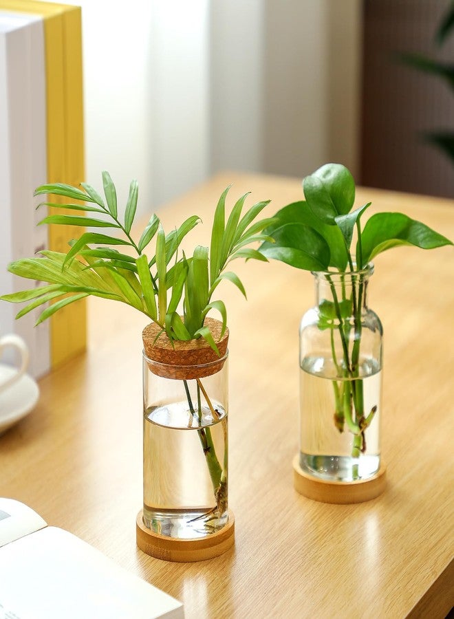 Layhit مجموعة لايهيت المكونة من 4 قطع من محطات تكاثر النباتات، عبارة عن مزهريات زجاجية مع غطاء خشبي وحامل من الخيزران، مناسبة للنباتات المائية، هدايا مثالية للنساء والأمهات لتزيين المنزل والمكتب والطاولة (نمط ذو فتحة واسعة). - Image 2