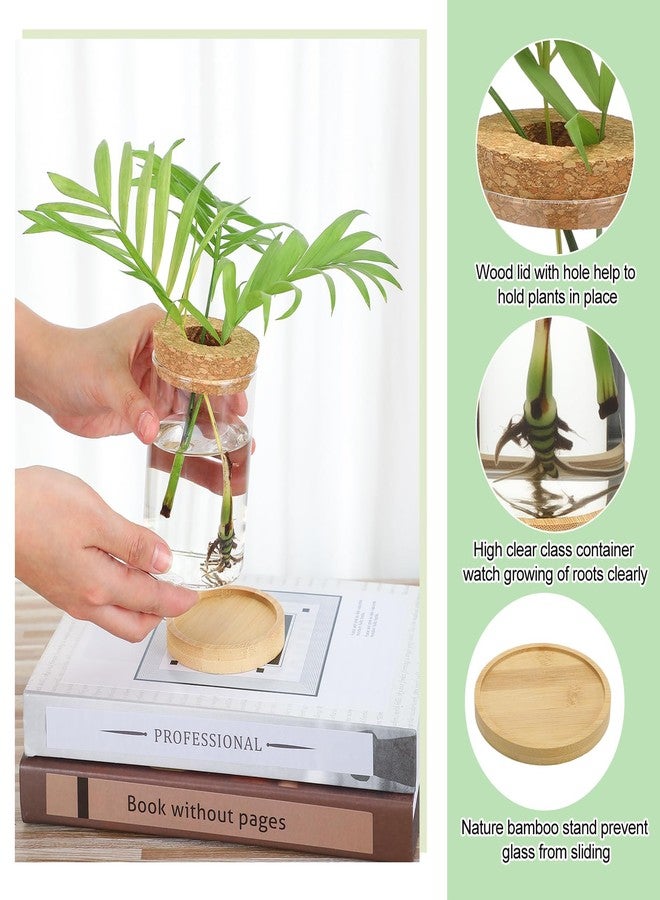 Layhit مجموعة لايهيت المكونة من 4 قطع من محطات تكاثر النباتات، عبارة عن مزهريات زجاجية مع غطاء خشبي وحامل من الخيزران، مناسبة للنباتات المائية، هدايا مثالية للنساء والأمهات لتزيين المنزل والمكتب والطاولة (نمط ذو فتحة واسعة). - Image 4