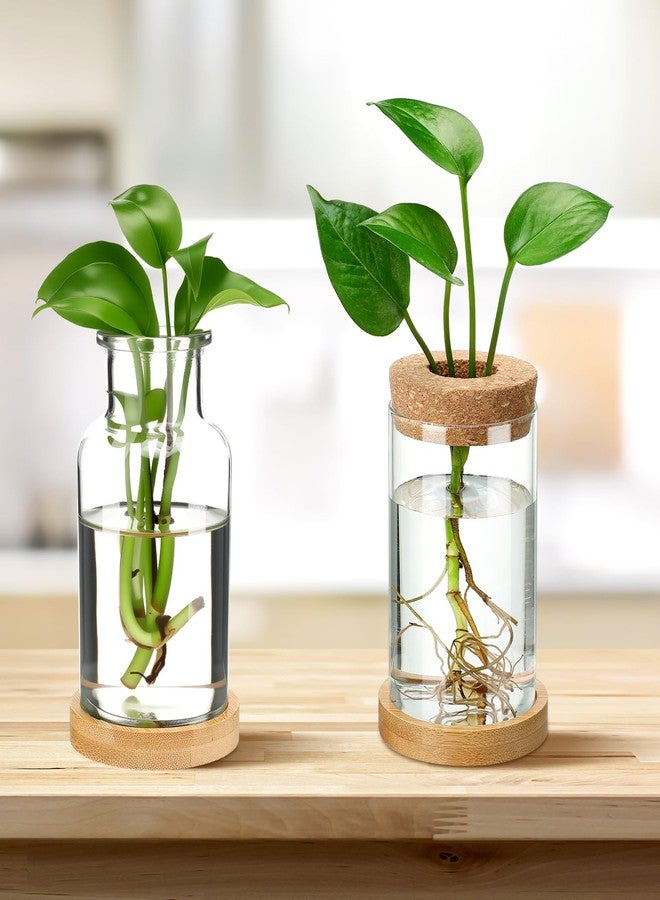Layhit مجموعة لايهيت المكونة من 4 قطع من محطات تكاثر النباتات، عبارة عن مزهريات زجاجية مع غطاء خشبي وحامل من الخيزران، مناسبة للنباتات المائية، هدايا مثالية للنساء والأمهات لتزيين المنزل والمكتب والطاولة (نمط ذو فتحة واسعة). - Image 3