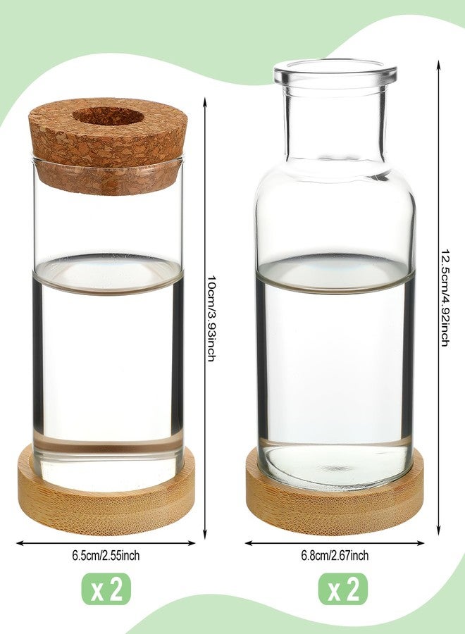 Layhit مجموعة لايهيت المكونة من 4 قطع من محطات تكاثر النباتات، عبارة عن مزهريات زجاجية مع غطاء خشبي وحامل من الخيزران، مناسبة للنباتات المائية، هدايا مثالية للنساء والأمهات لتزيين المنزل والمكتب والطاولة (نمط ذو فتحة واسعة). - Image 5