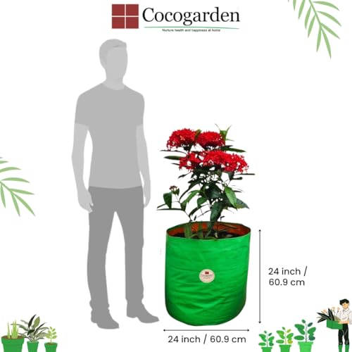 COCOGARDEN HDPE UV Protected Green Round Shaped Grow Bags 24X24 inch (Pack of 2) | Plant Bags for Home Garden | Growing Bags for Terrace Flowers and Vegetables Gardening | Indoor and Balcony Gardening - Image 2