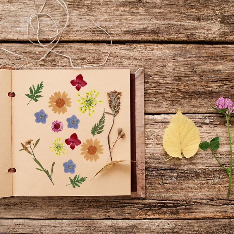 Eshow 40Pcs Natural Pressed Dried Flowers Resin, Dry Flowers for Resin Accessories with Tweezer, Dried Flower for Scrapbooking DIY Art Crafts, Epoxy Resin Jewelry Molds, Candle, Nails Décor, Craft Making - Image 5