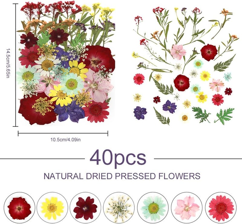 Eshow 40Pcs Natural Pressed Dried Flowers Resin, Dry Flowers for Resin Accessories with Tweezer, Dried Flower for Scrapbooking DIY Art Crafts, Epoxy Resin Jewelry Molds, Candle, Nails Décor, Craft Making - Image 2