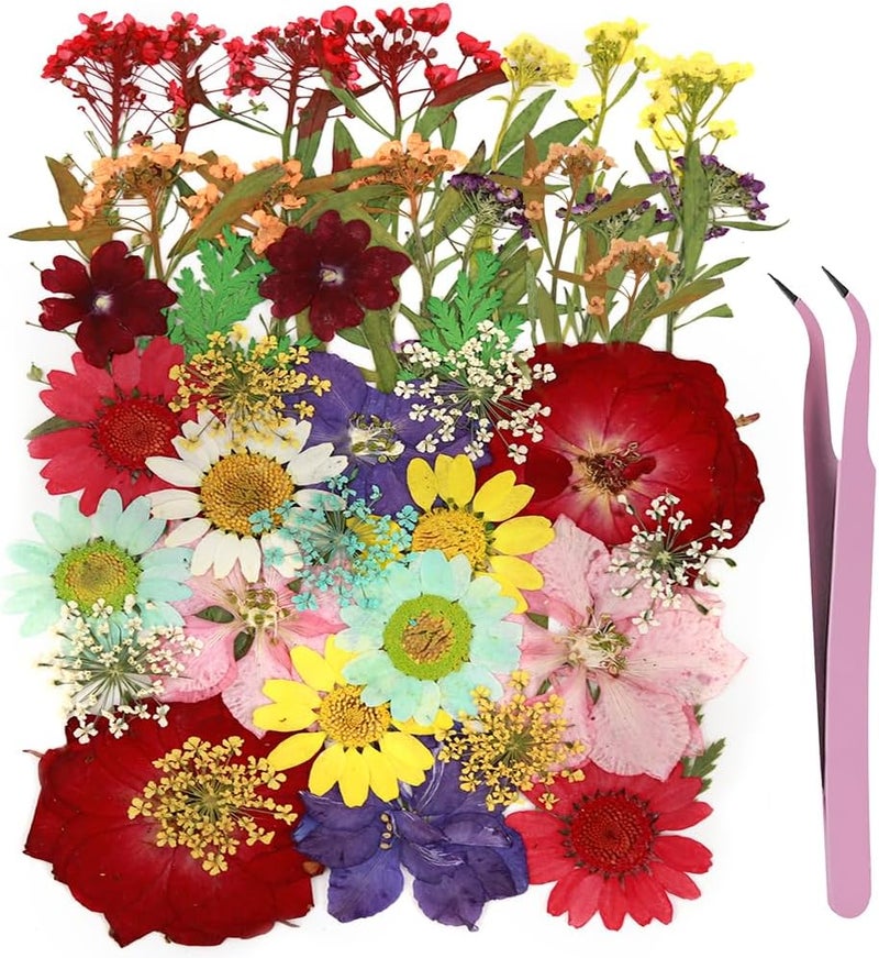 Eshow 40Pcs Natural Pressed Dried Flowers Resin, Dry Flowers for Resin Accessories with Tweezer, Dried Flower for Scrapbooking DIY Art Crafts, Epoxy Resin Jewelry Molds, Candle, Nails Décor, Craft Making - Image 1