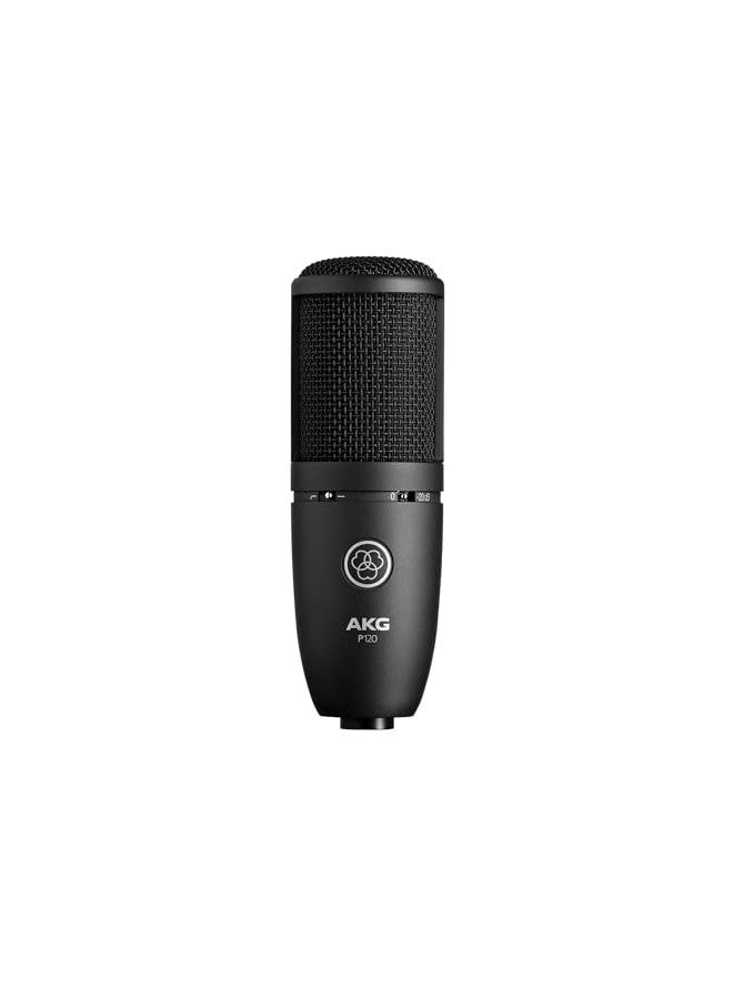AKG High-Performance P120 Microphone