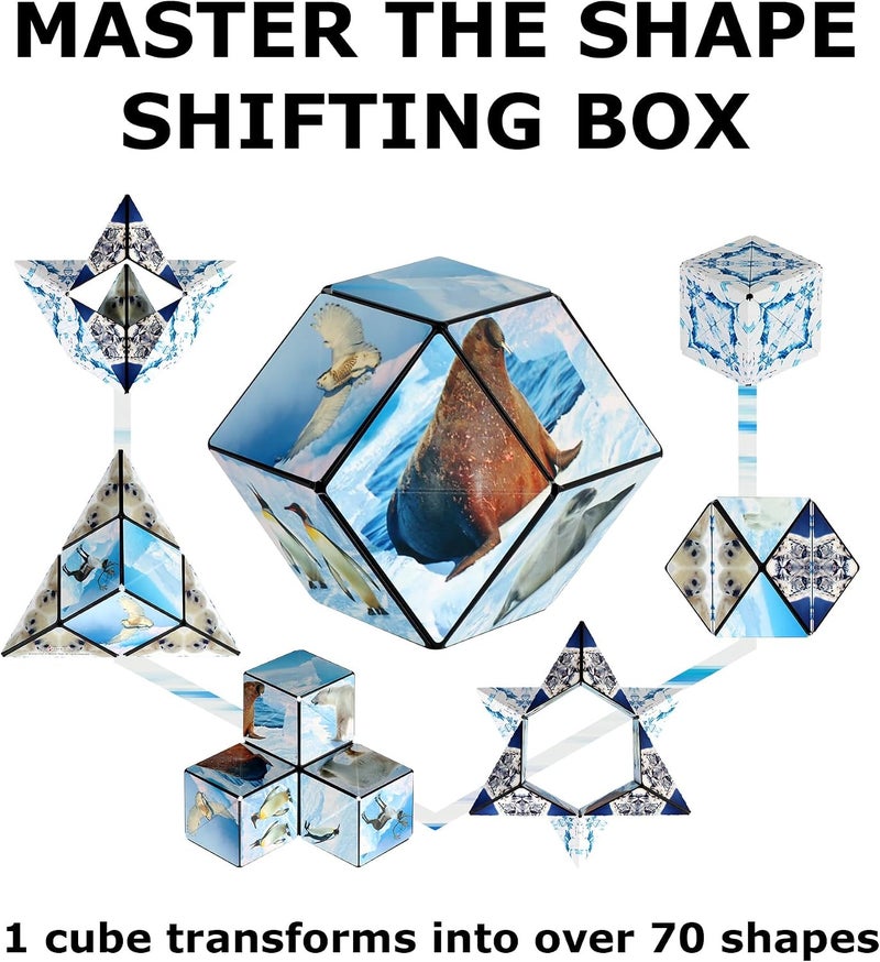 Shashibo Shape Shifting Box - Award-Winning STEM Fidget Toy with Ultra Strong Magnets - Puzzle Cube Transforms Into 100+ Shapes, Perfect Sensory Gift for Kids, Teens, and Adults (Arctic) - Image 4