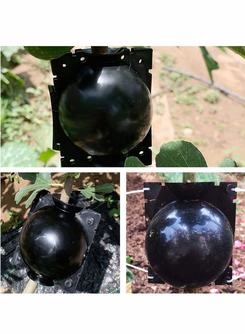 KASTWAVE 15Pcs Plant Root Growing Box Grafting Device, Rooting Ball Propagation High Pressure, Assisted Cutting Plants Rooting Growing Breeding for Reproduction Equipment(S) - Image 2