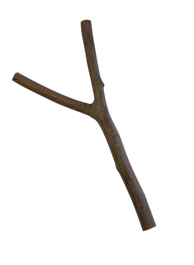 Natural And Clean Bird Perch Brown 30Cm