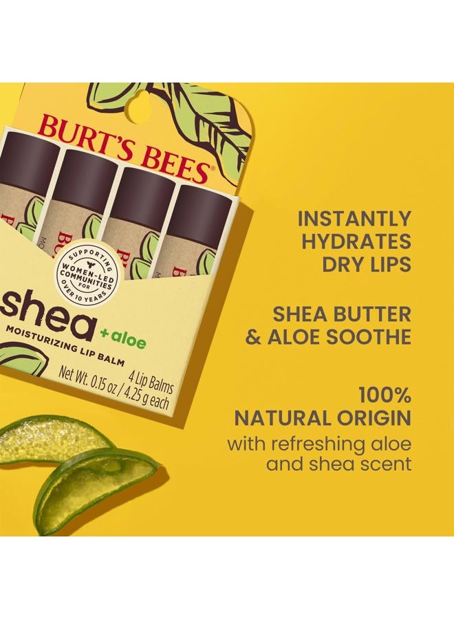 Burt's Bees Shea and Aloe Moisturizing Lip Balm, Lip Moisturizer With Responsibly Sourced Beeswax, Tint-Free, Natural Origin Conditioning Treatment, 4 Tubes, 0.15 oz. - Image 2