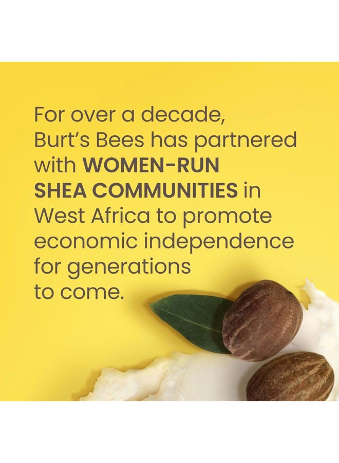 Burt's Bees Shea and Aloe Moisturizing Lip Balm, Lip Moisturizer With Responsibly Sourced Beeswax, Tint-Free, Natural Origin Conditioning Treatment, 4 Tubes, 0.15 oz. - Image 5