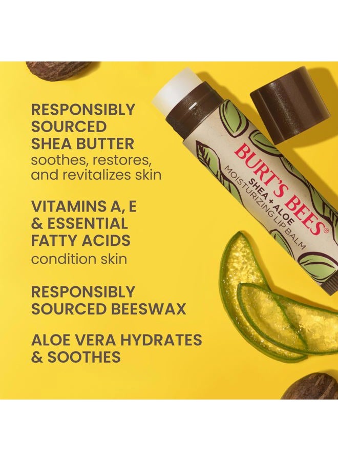 Burt's Bees Shea and Aloe Moisturizing Lip Balm, Lip Moisturizer With Responsibly Sourced Beeswax, Tint-Free, Natural Origin Conditioning Treatment, 4 Tubes, 0.15 oz. - Image 3