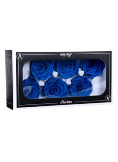 Gulf Flowers Gulf Flowers 6pcs Preserved Roses Box – 6cm Diameter Natural Fresh Rose Heads Romantic Gift Box for Valentines Day Birthday Anniversary DIY Mother’s Day or Any Occasion 