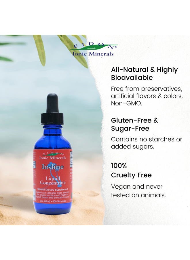 Eidon Ionic Minerals Potassium Iodine Supplement - Liquid Iodine Drops, Supports Energy Levels and Thyroid Health, Bioavailable, No Additives or Preservatives - Potassium Iodide Drops, 2 oz - Image 5