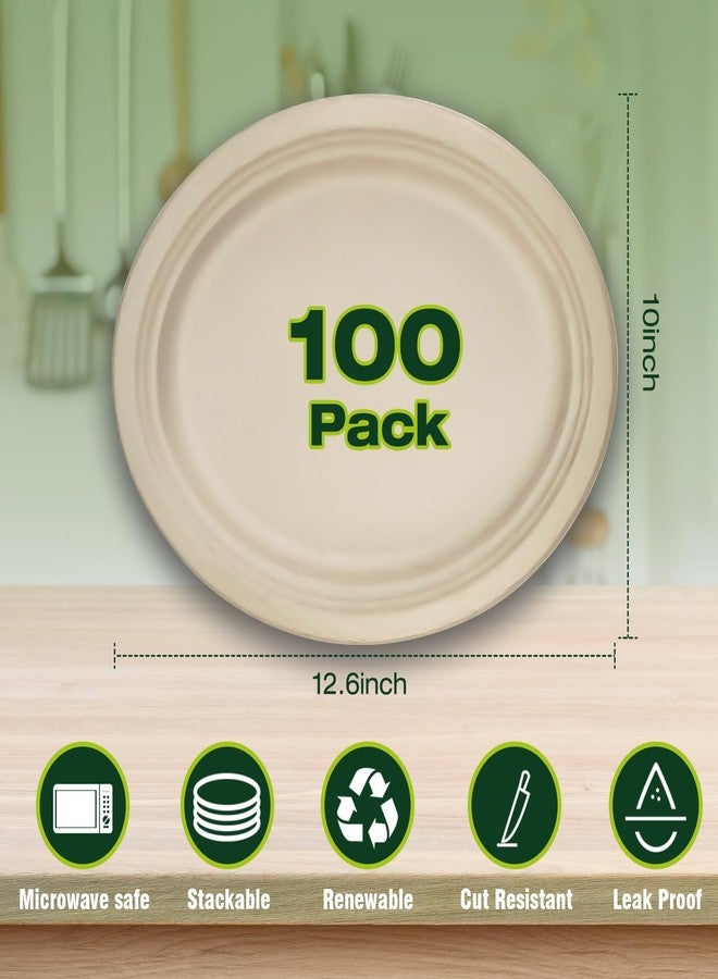 Ginkgo 100 Pack Oval Heavy Duty Paper Plates 12 Inch, Disposable Large Paper Plates Bulk for BBQ, Party, Picnic, Dessert, Thanksgiving and Every Day - Image 2