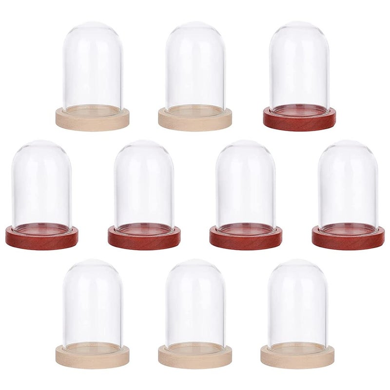 NBEADS 10 Sets Mini Eternal Flower Glass Dome Cloche Clear Glass Display Case with 2 Colors Wooden Base Bell Jar Cloche for Valentines Day Mothers Day Flower Decorations Crafts 16x1