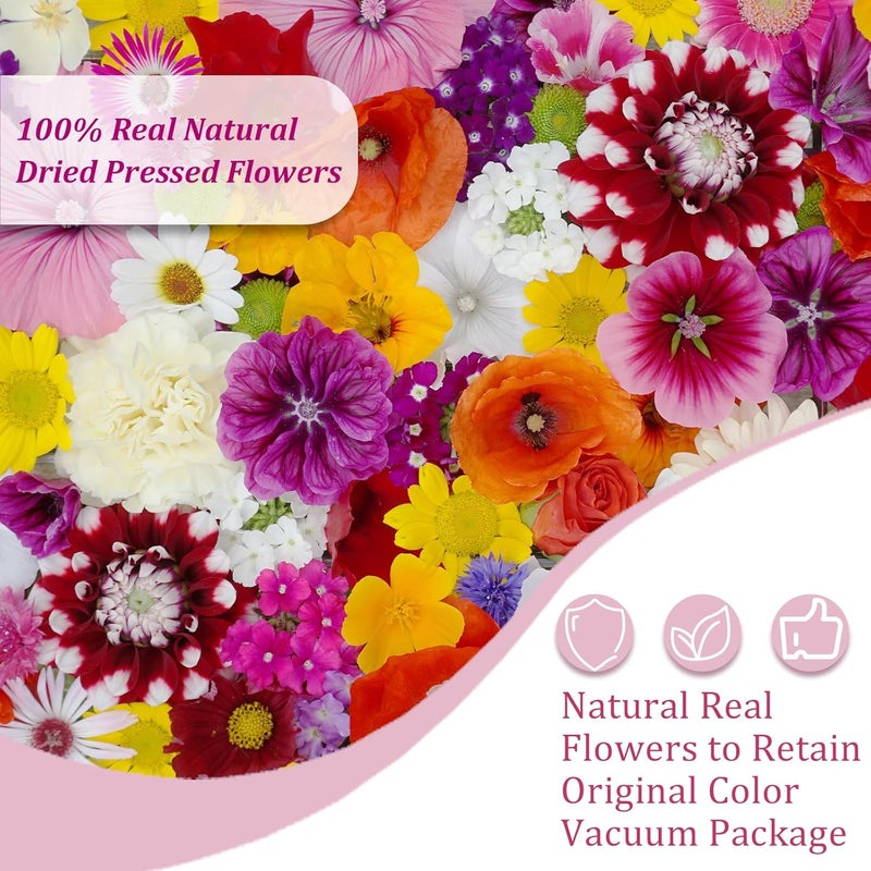 Eshow 70Pcs Dried Pressed Flowers for Crafts, Natural Dry Flowers for Resin with Tweezer for Scrapbooking DIY Art Crafts, Epoxy Jewelry Molds, Candle, Soap Making - Image 3