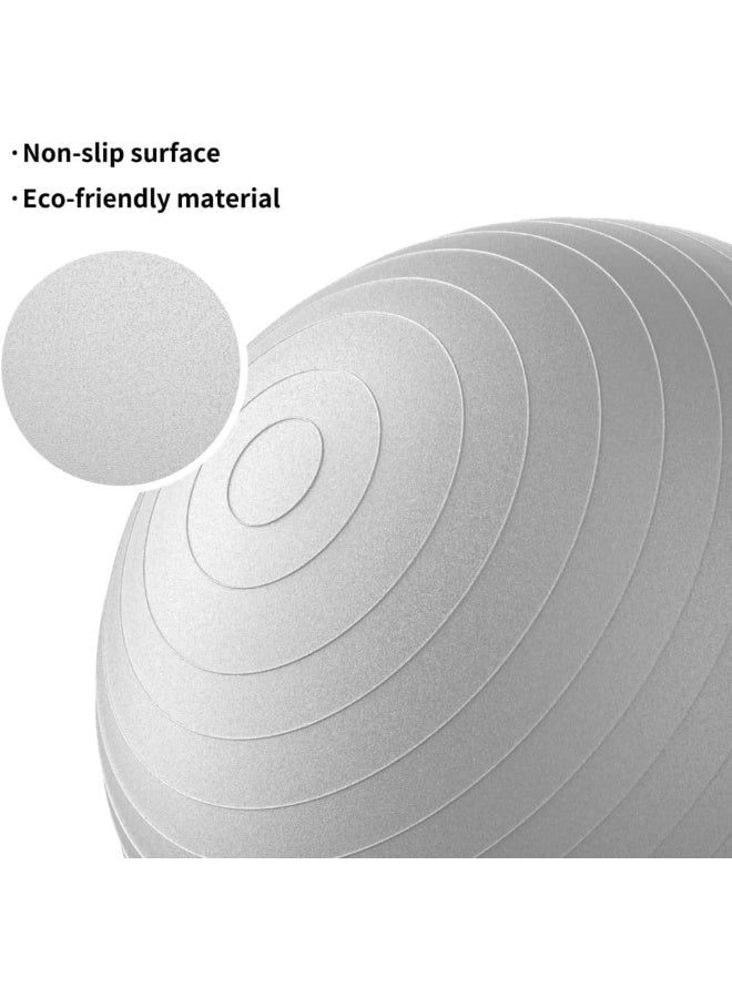 PROIRON Exercise Ball Anti-Burst Yoga Ball Chair with Quick Pump Slip Resistant Gym Ball - Image 2