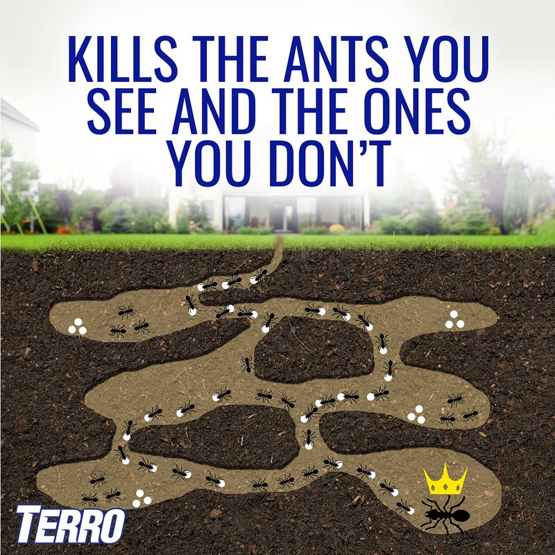 TERRO Liquid Ant Killer ll - T200, 2 oz - Ant Bait and Killer - Effective Insect Control for Indoors - Eliminate Colonies and Future Infestations - Image 2