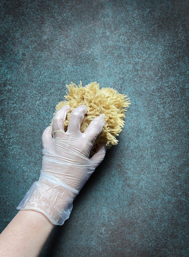 Lullingworth® Natural Sea Wool Art Sponge: Premium Professional Grade 5-6" Unbleached, Excellent for Painting, Decorating, Texturing, Marbling, Limestone/Venetian Plaster, Faux Finishes, Crafts - Image 5