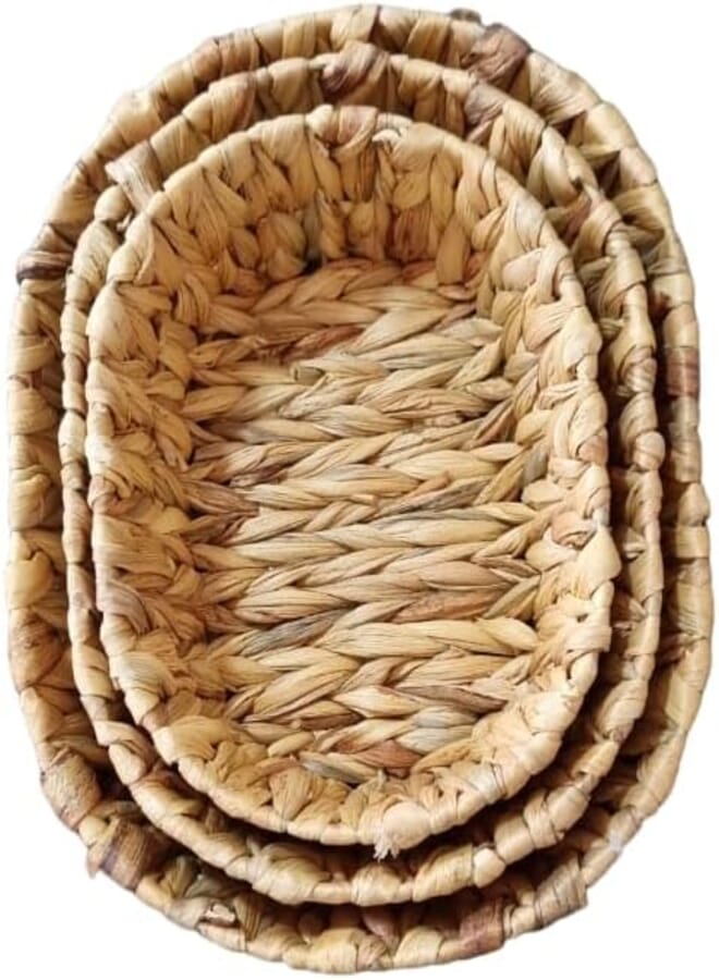 Gluck 3 In 1 Oval Bread Keeper