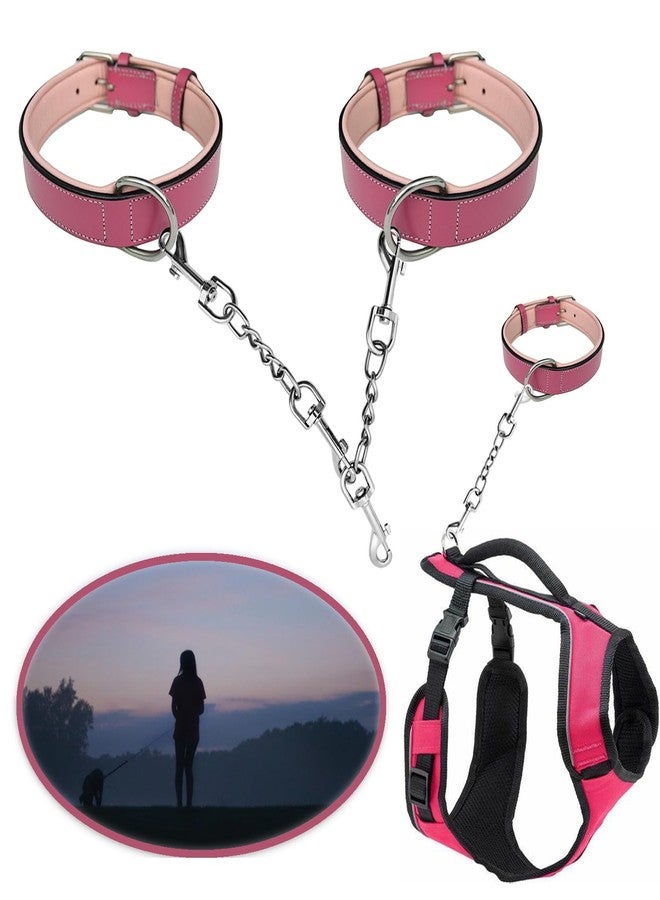 AncBace Dog Collar Safety Clip Metal Clasp Double Ended Connector 2 Pack Prong Chew Proof Backup Dog Clip for Pet Harness Collar Leash Necklaces Dog Strap Lead Carabiner Heavy-Duty Chain 8 inch - Image 3