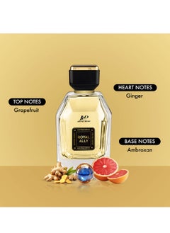 Jean Paul Dupont Royal Ally Eau de Toilette For Men 100ml  - Image 3