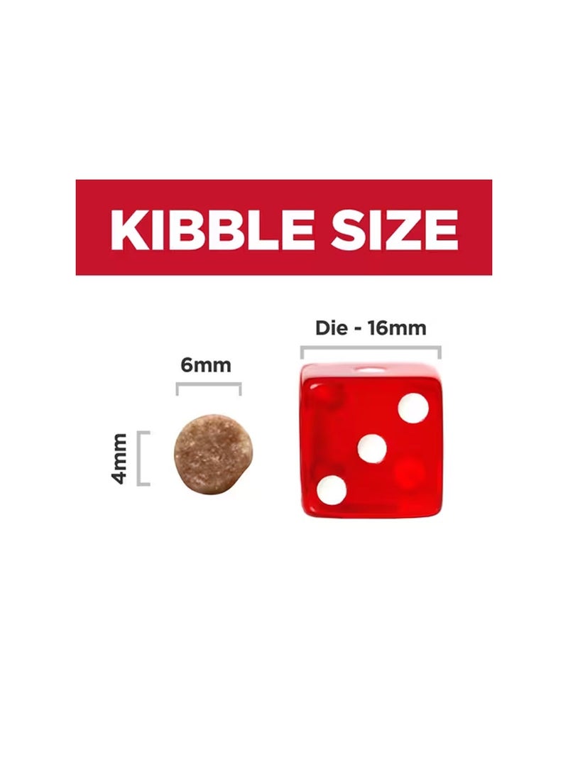 Hills Hill's Science Plan For Kitten Food with Chicken Flavor - Image 3