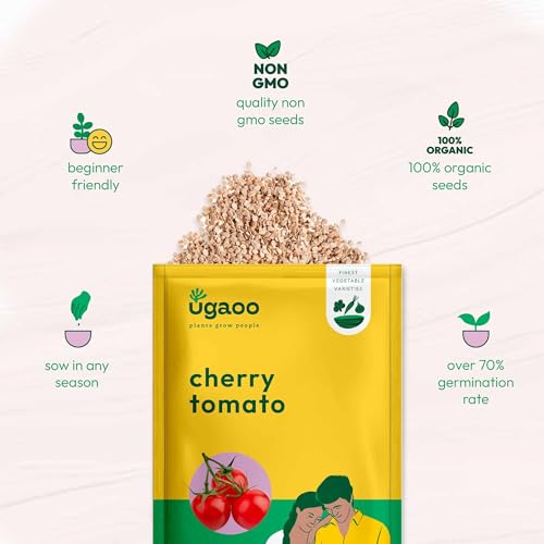 UGAOO Cherry Tomato Vegetable Seeds (Yellow, Pack of 200mg, 50 Seeds) - Image 4