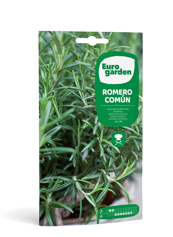 Euro Garden بذور إكليل الجبل من Eurogarden Comun - عشبة طهي سهلة الزراعة وتحتاج إلى صيانة قليلة 2G - Image 1