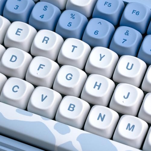 OHY XVX Dolphin Theme PBT Dye-Sub Keycaps Set, 145-Key Blue Custom Keycaps for 75% Mechanical Keyboards (Compatible with Cherry MX/Gateron Switches & Mac/Windows PC) - Image 4