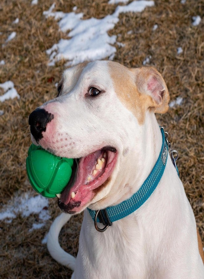 Coastal PetKORE: FloTex Ball - Medium - 2.5", Green, Dog Toy, Proprietary Rubber, Patented Open Airflow Grooves, Bounce-Fetch-Chew, Pet Indoor-Outdoor Play - Image 3