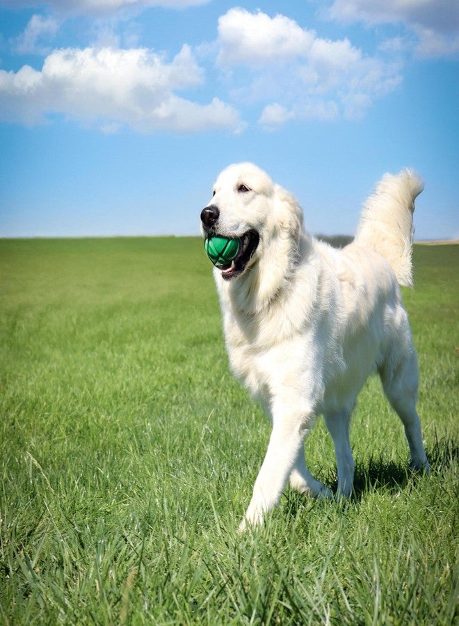Coastal PetKORE: FloTex Ball - Medium - 2.5", Green, Dog Toy, Proprietary Rubber, Patented Open Airflow Grooves, Bounce-Fetch-Chew, Pet Indoor-Outdoor Play - Image 4