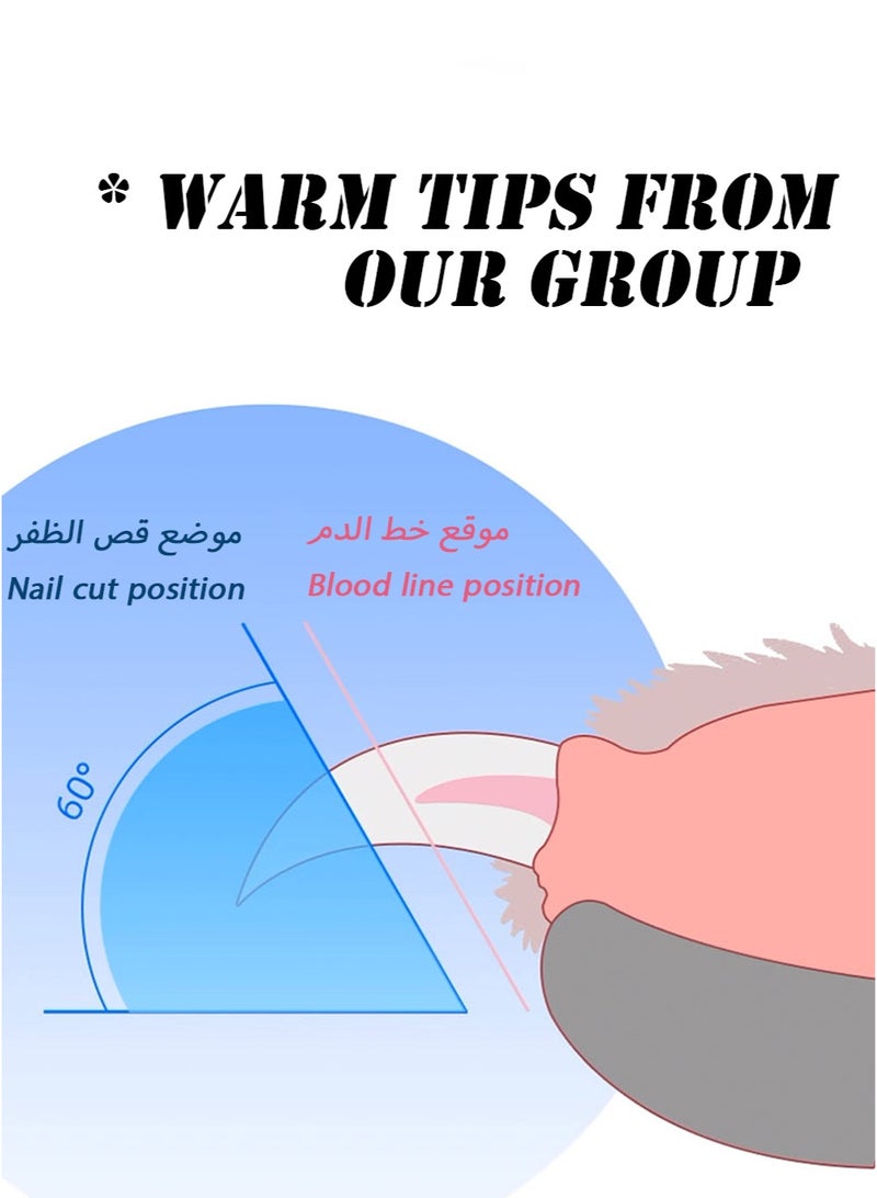 مقص اظافر قطط مع إضاءة LED | إضاءة عالية الوضوح لتحديد خط النزف | مزود بمبرد أظافر مدمج وتصميم نوابض | واقي من الشظايا ومقبض مريح | قص أظافر قطط احترافي وآمن - Image 5