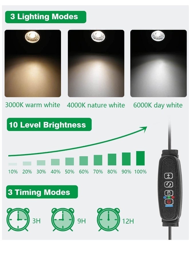 Dimmable LED Spot Lights Indoor Uplighting 3W USB Powered Floor Spot Lights Uplights Indoor Accent Light for Plants with 3 Color Lighting Modes and Auto On Off Timer Function 3h 6h 9h Black