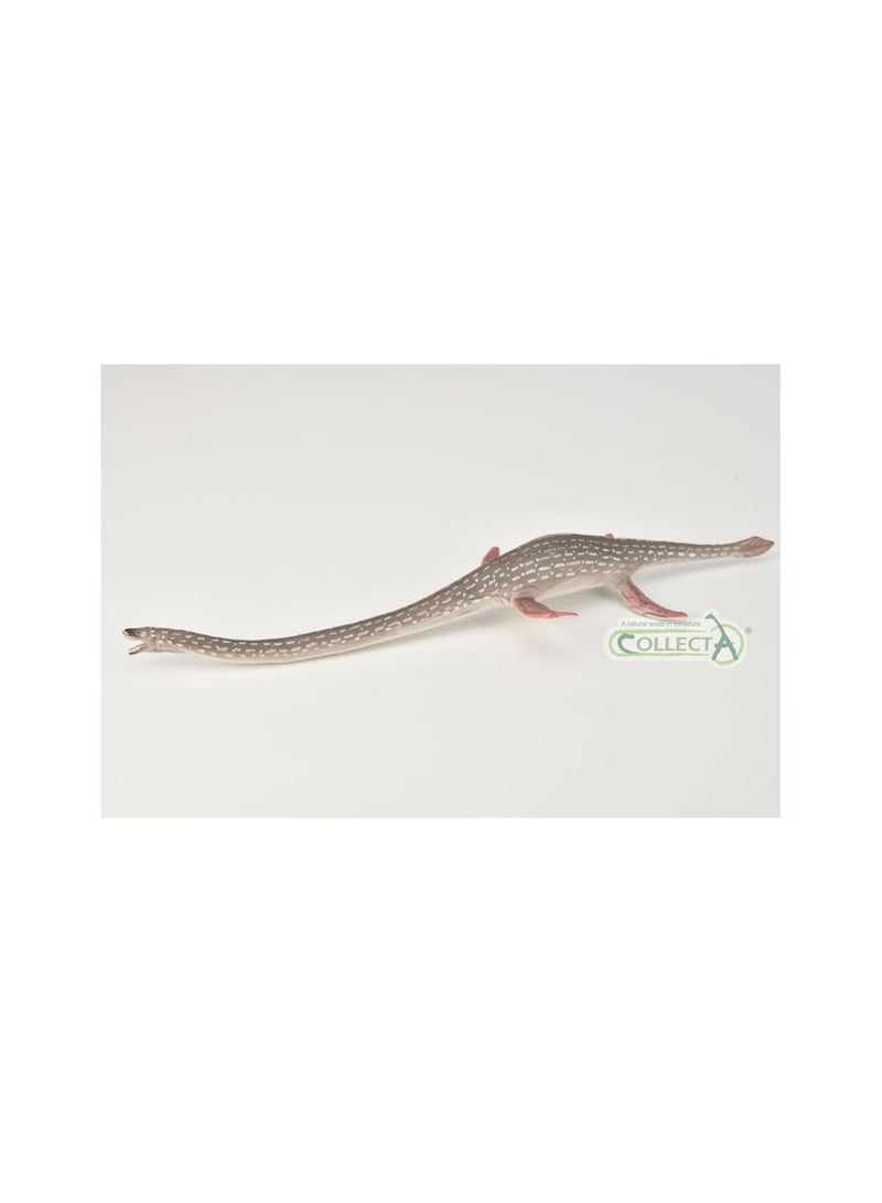 CollectA ELASMOSAURUS