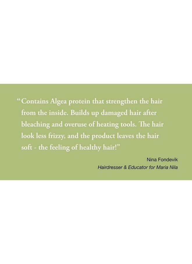 Maria Nila Structure Repair Shampoo 11.8 Fl Oz For Damaged & Chemically Treated Hair Algae Extract Rebuilds & Moisturizes 100% Vegan & Sulfateparaben Free  - Image 2