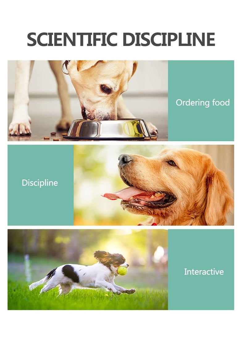 جرس تدريب الحيوانات الأليفة بتصميم آثار الأقدام – أزرار جرس للتواصل للكلاب والقطط الصغيرة – أخضر متعدد الألوان - Image 5