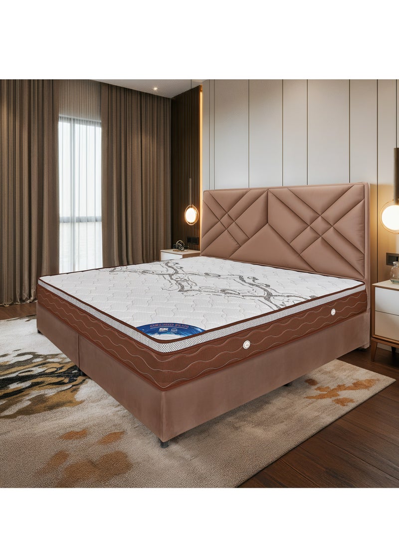 BACK CARE Orchid Plus Luxury Mattress - Advanced Design for Ideal Support of Heavy Weights Over 120 kg, Featuring Multi-layered Reinforced Bonnell Springs, High-Density Foam, Hotel-Grade Comfort with Antibacterial Treatment, and Innovative Ventilation Openings for Long-lasting Comfort and Sustainability 200x140x30 Cm - Image 1