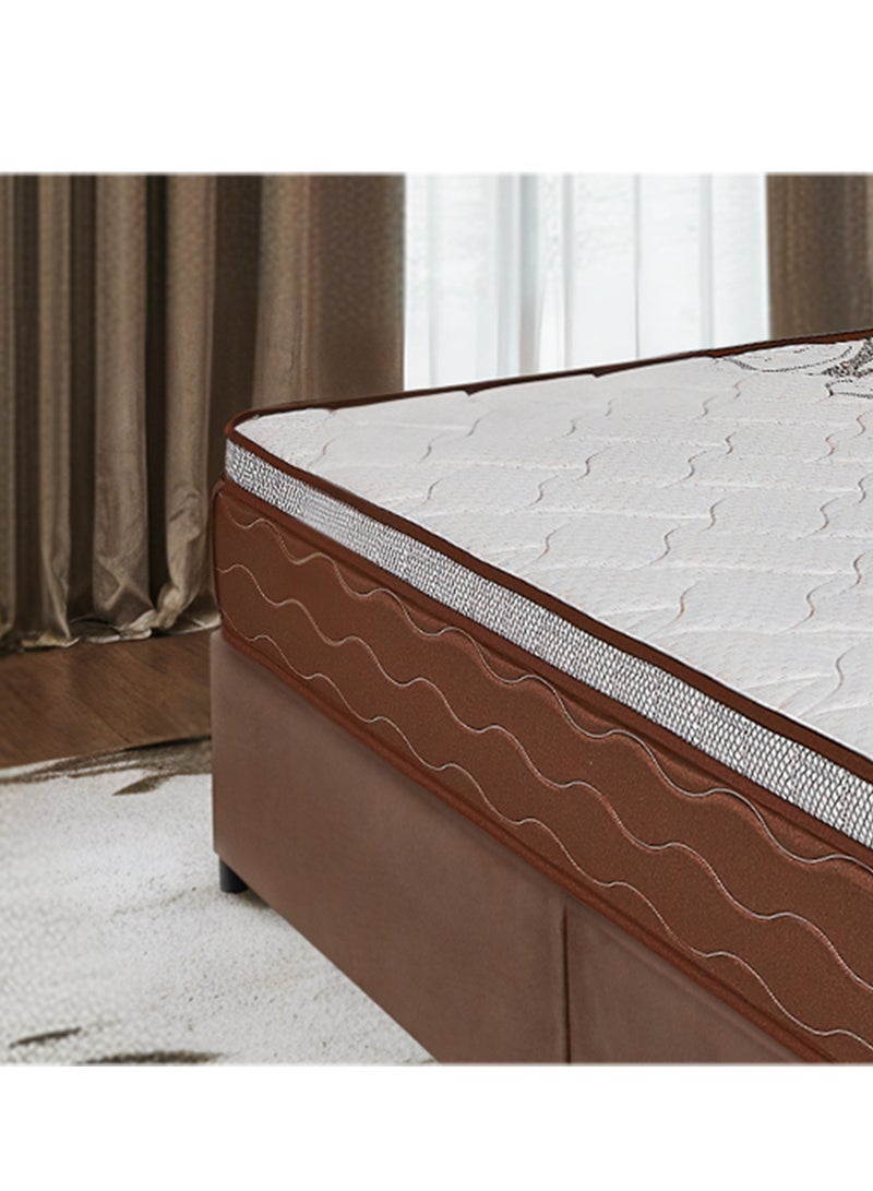 BACK CARE Orchid Plus Luxury Mattress - Advanced Design for Ideal Support of Heavy Weights Over 120 kg, Featuring Multi-layered Reinforced Bonnell Springs, High-Density Foam, Hotel-Grade Comfort with Antibacterial Treatment, and Innovative Ventilation Openings for Long-lasting Comfort and Sustainability 200x140x30 Cm - Image 3